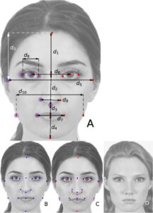 female facial aesthetics