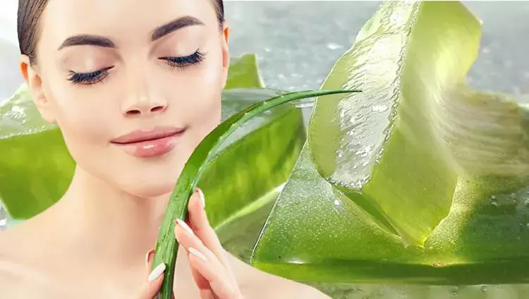 Aloe Vera’nın Cilt Üzerindeki Mucizevi Etkileri